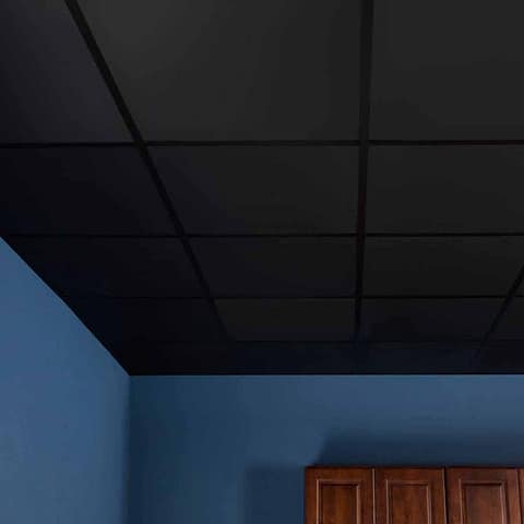 Genesis Ceiling Tile-2x2 Smooth Pro in Black
