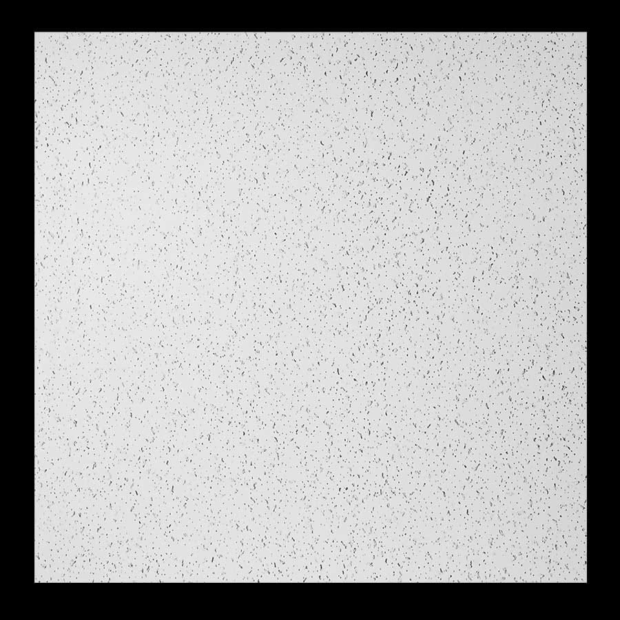 74100_002_051310_F Genesis Printed Pro series ceiling panel