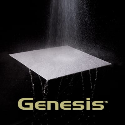 Genesis ceiling tile
