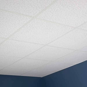 Genesis Printed Pro Ceiling Tiles