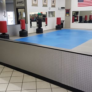 Ray&#039;s Tae Kwon Do Center - Fasade Diamond Plate Wall Panel in Argent Silver