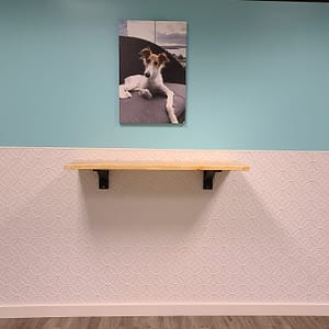 Fasade Rings Wall Panel in Matte White