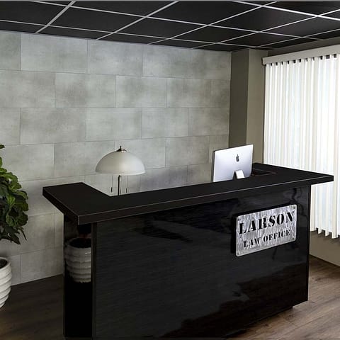 Palisade 15&quot; x 26&quot; Tile in Frost Nickel