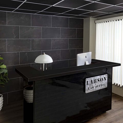 Palisade 15&quot; x 26&quot; Tile in Black Ice