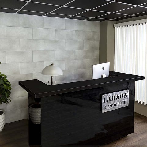 Palisade 11&quot; x 23&quot; Tile in Frost Nickel