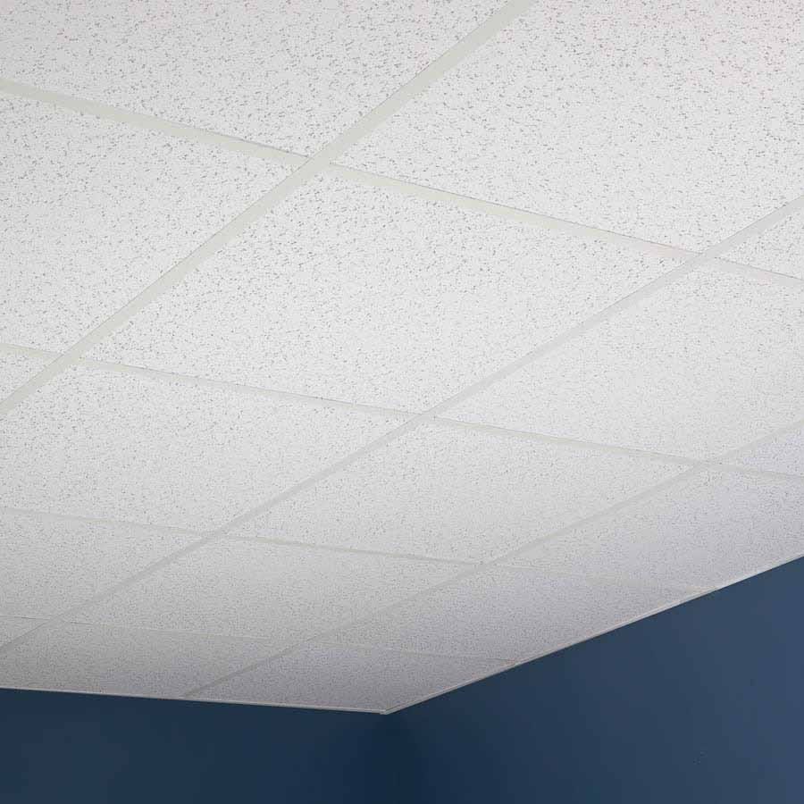 Genesis Printed Pro Ceiling Tiles