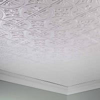 G5101_001_071712_F_ACPPRO