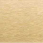 Brushed Champagne