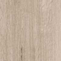 Timeless Oak