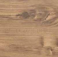 Kastanie Living Acacia