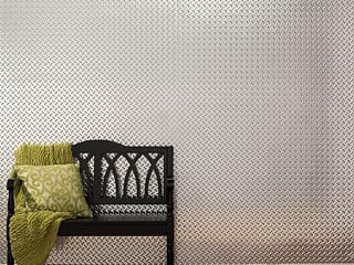 Diamond Plate wall panel in Brushed Aluminum
