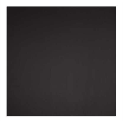 Smooth Pro ceiling panel in black