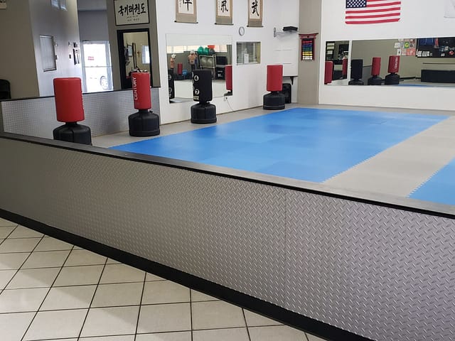 Ray&#039;s Tae Kwon Do Center, Diamond Plate in Argent Silver