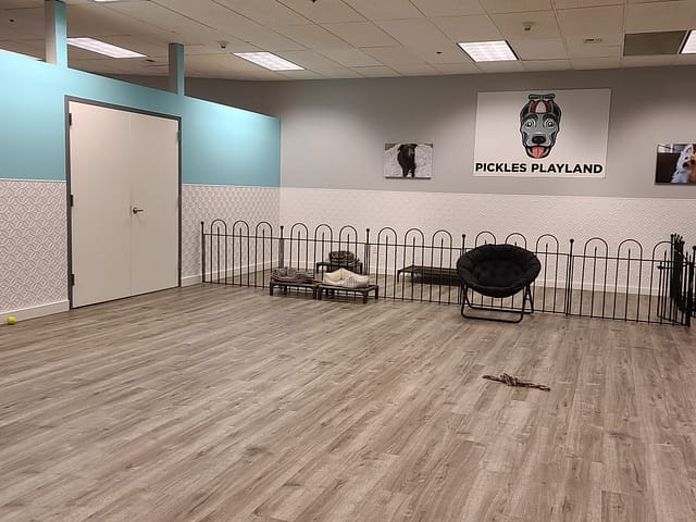 Doggie Daycare - Fasade Wall Panel Rings in Matte White