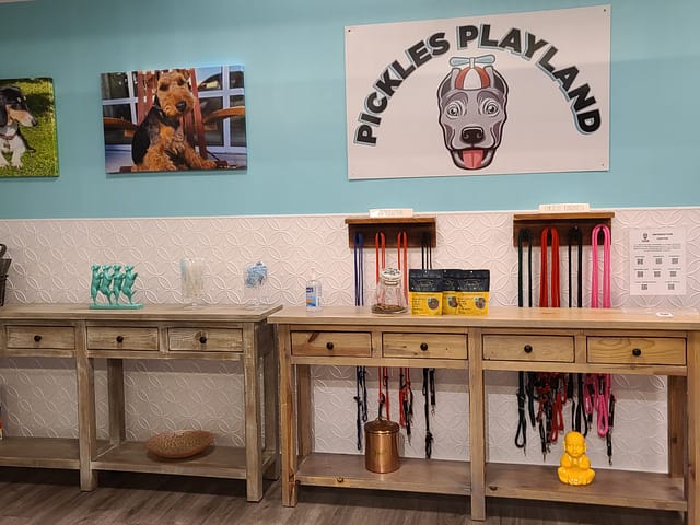 Doggie Daycare - Fasade Rings Wall Panel in Matte White