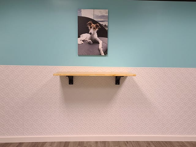 Doggie Daycare - Fasade Rings Wall Panel in Matte White