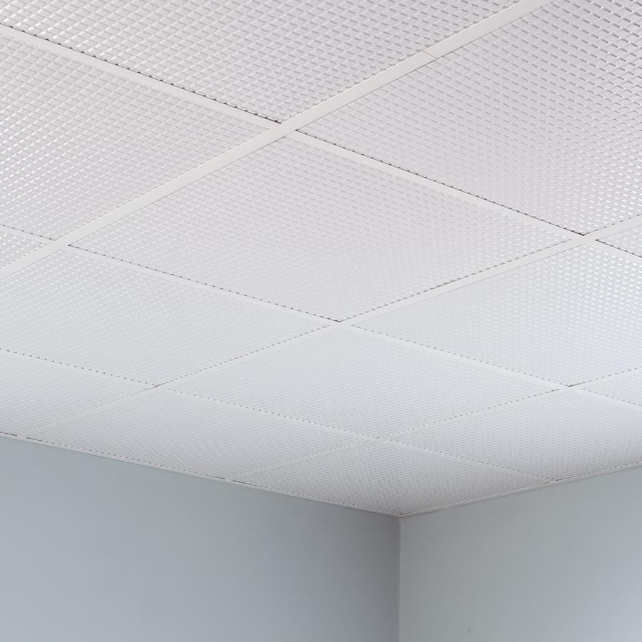 L6200_900px_basgrp