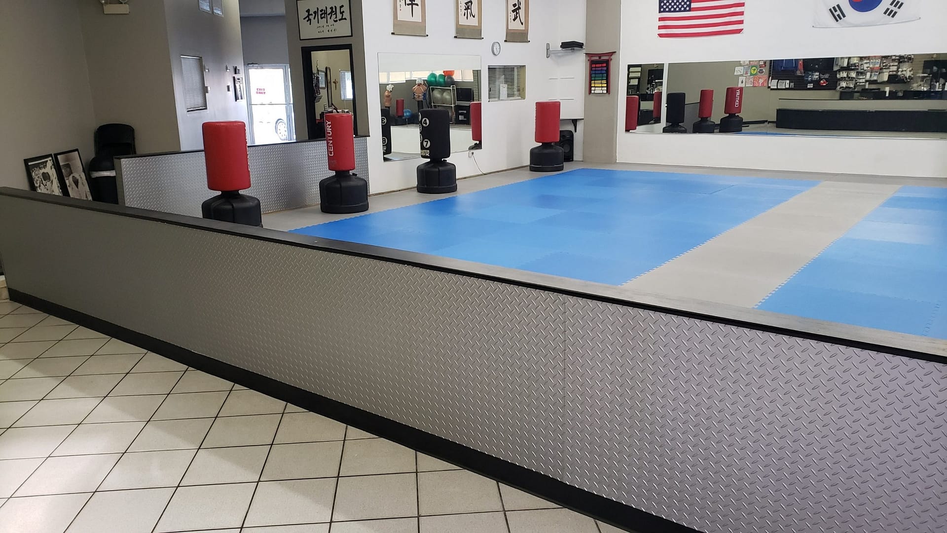 Ray's Tae Kwon Do Center, Diamond Plate in Argent Silver