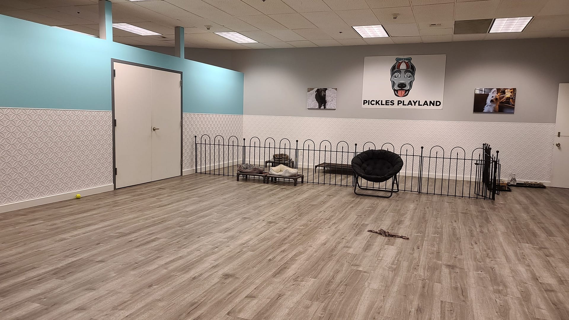 Doggie Daycare - Fasade Wall Panel Rings in Matte White