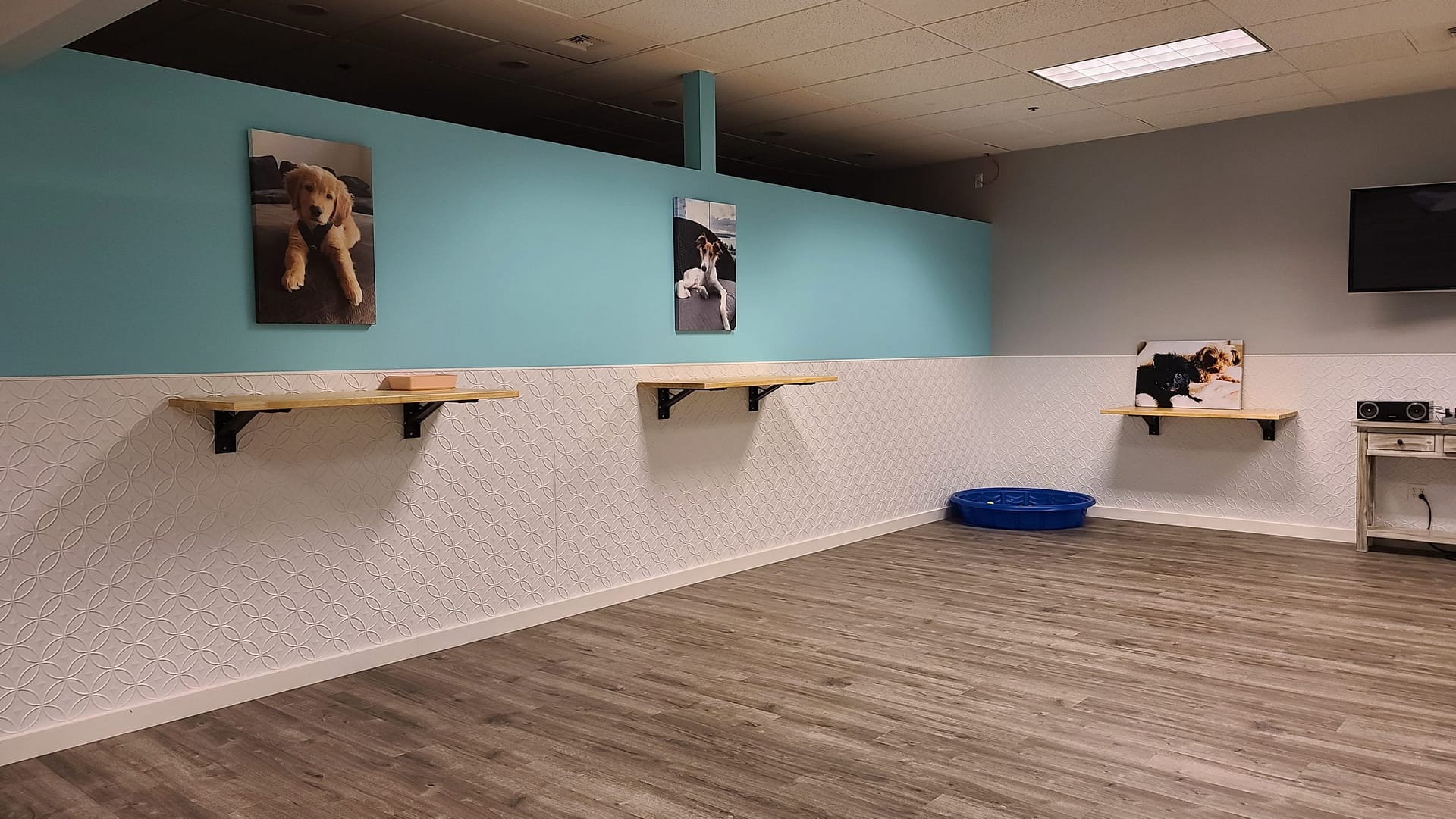 Doggie Daycare - Fasade Wall Panel Rings in Matte White