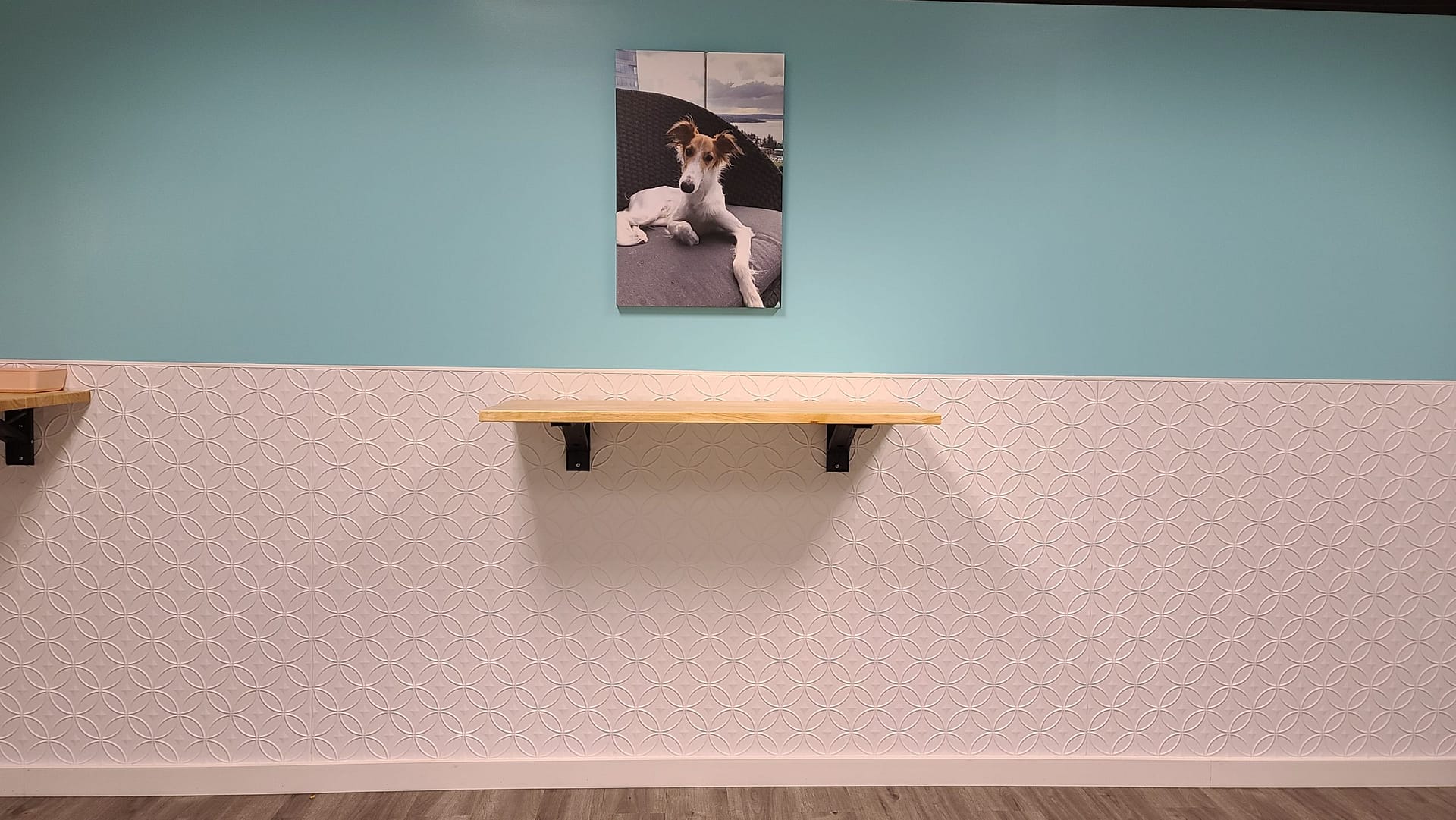 Doggie Daycare - Fasade Rings Wall Panel in Matte White